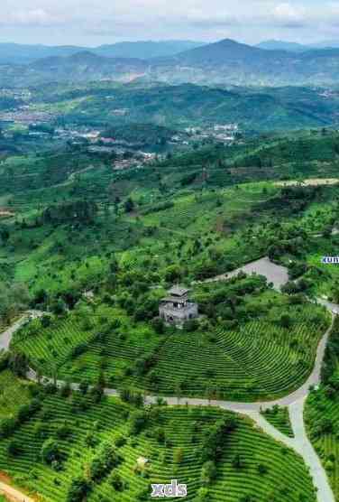 '昆明中老期普洱茶场地址在哪里：昆明市普洱茶场'