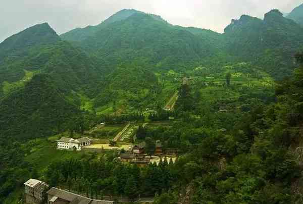 新探秘普洱茶名山——除了山桃子山，还有哪些大茶山值得一游？