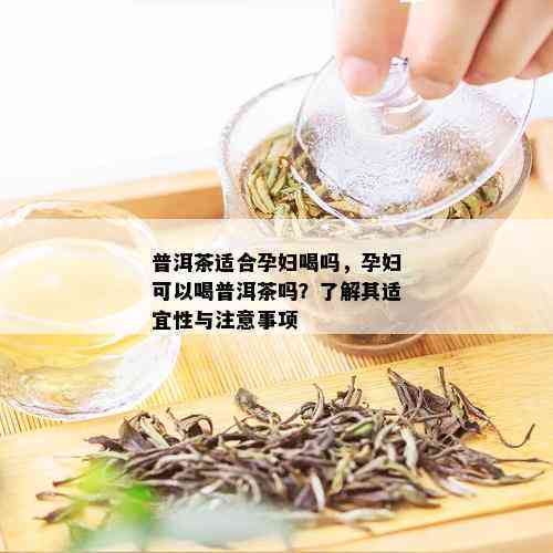 孕妇饮用茯苓和普洱茶的安全性及其泡水方法：全面解答与建议