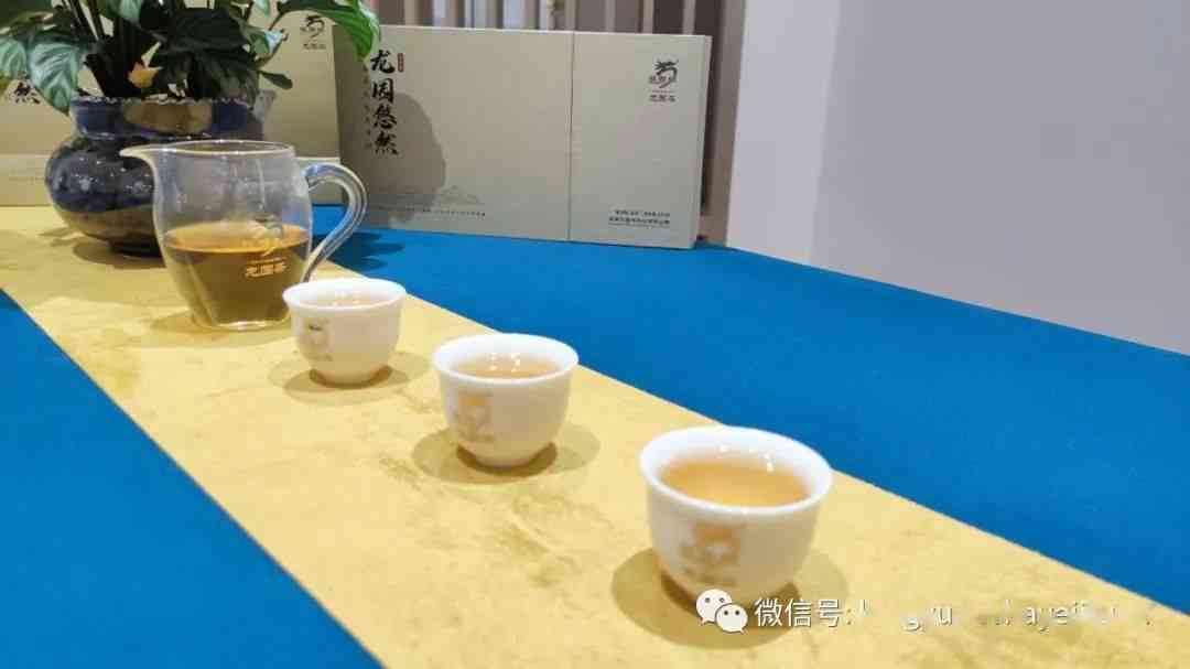 龙园号世名品茗茶：匠心独运，品味非凡