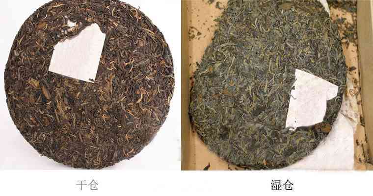 探究马普洱茶正宗品质及独特价值