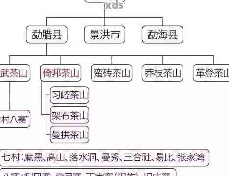 全面解析六大茶山普洱生茶价格：从品质到市场行情一应俱全