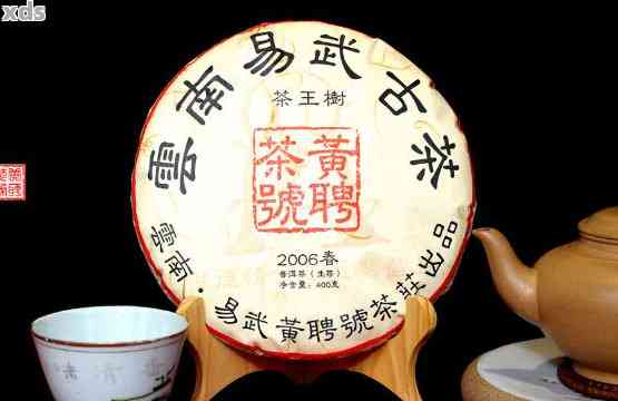 氏普洱茶2006木王：年份、品质、特点和品鉴方法的全面解析