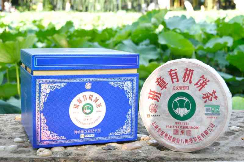 云科所云茶龙印班章普洱茶70周年价格汇总