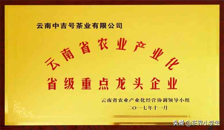 中吉号普洱茶：品质、收藏与投资价值全面解析，是否值得一试？