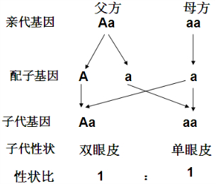 探究和田玉的形成历程：从地质构造到矿物成分的全方位解析