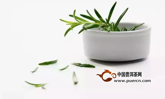 普洱茶古树大树小树特点与区别