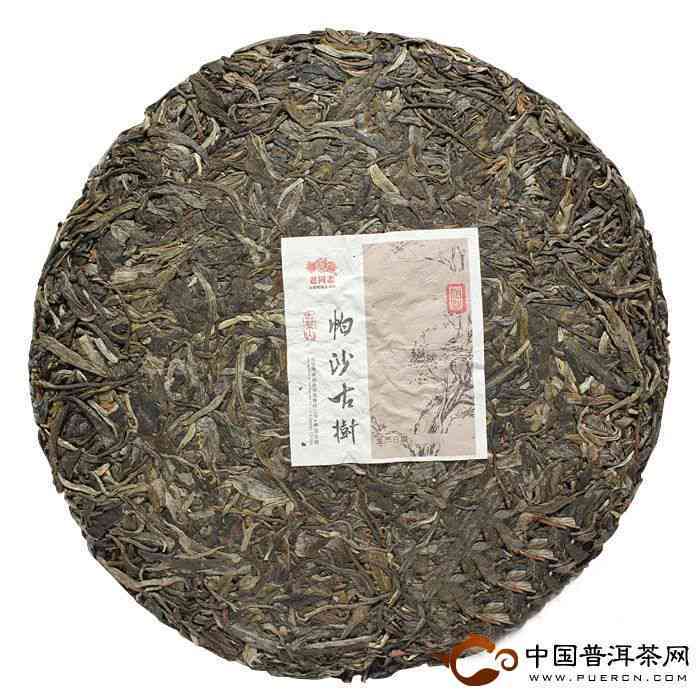 探索老同志帕沙古树普洱茶：品种特点、制作工艺与品饮体验详解