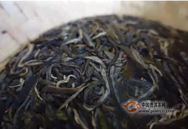 云南普洱沱茶：从生茶到熟茶的转变之路