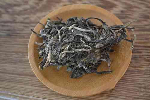 云南普洱沱茶：从生茶到熟茶的转变之路