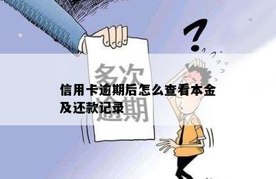 怎么能查到信用卡逾期