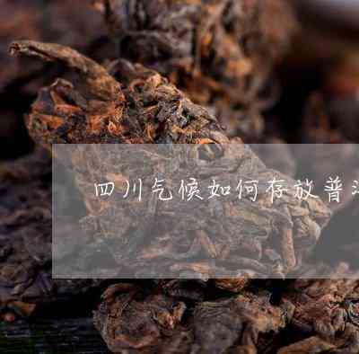 州地区普洱茶存的精细指南：适应当地气候的方法与技巧