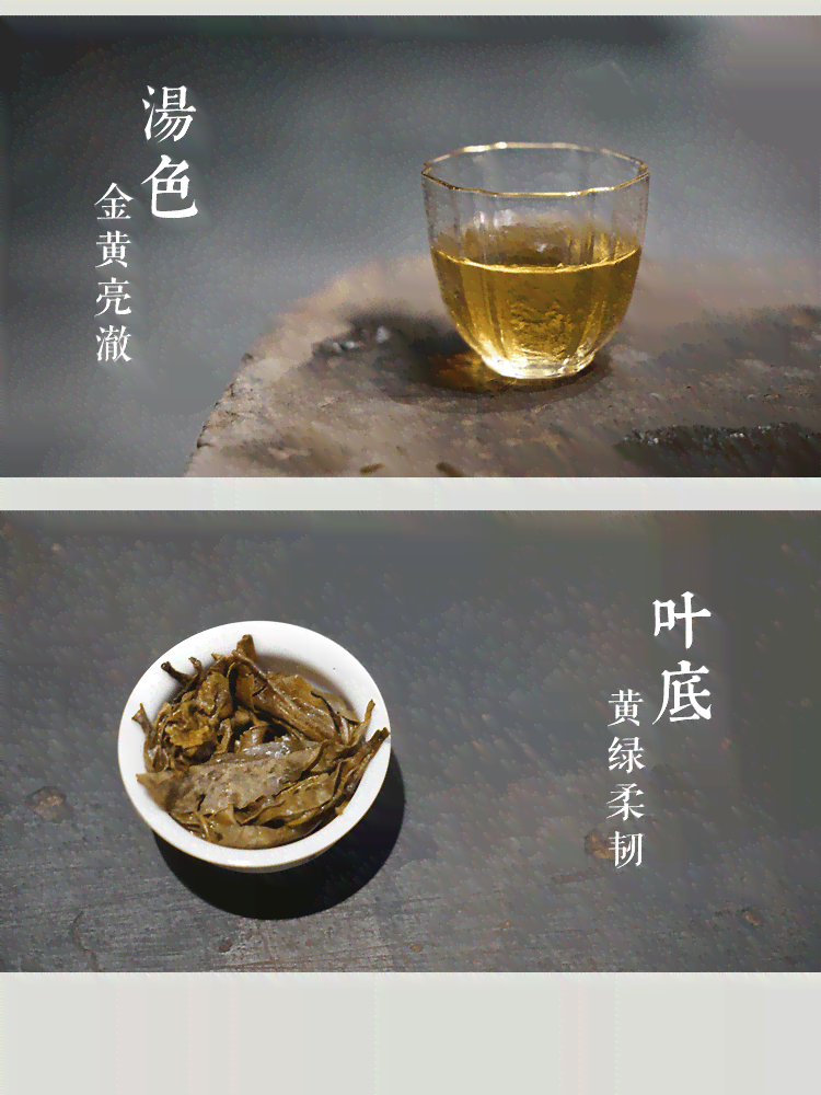 冰岛普洱茶300年树龄价格及可饮用性，500年树龄冰岛普洱茶介绍