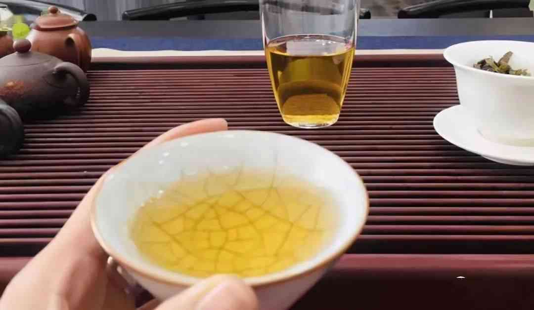 冰岛普洱茶300年树龄价格及可饮用性，500年树龄冰岛普洱茶介绍