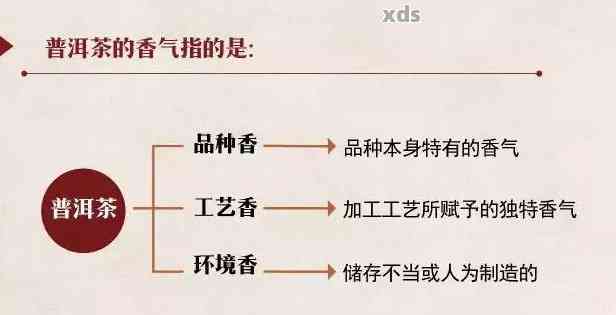 探索熟普洱茶的香气奥秘：揭示其最独特味道的成分与品质因素