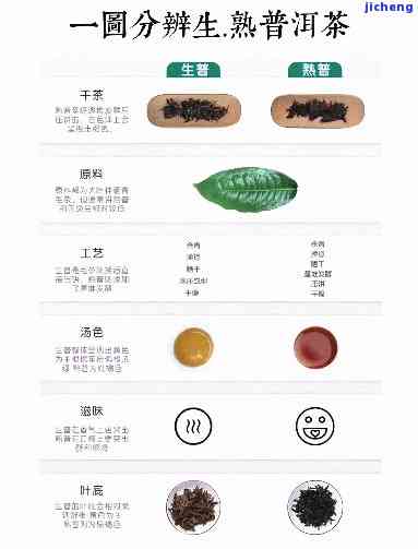 全面解析：熟普洱茶与生普洱茶的功效差异及适用人群