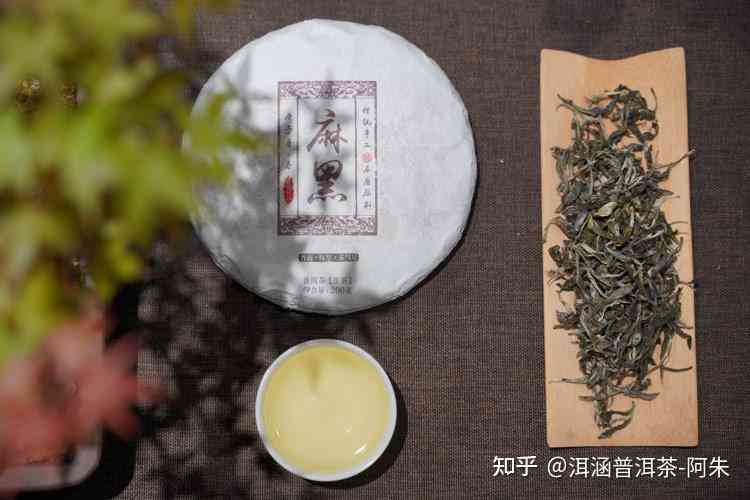 六大茶山之巅：探索普洱茶的奥秘与生命之叶的魅力