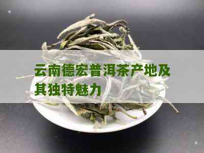 云南德宏普洱茶的独特风味及其品种多样性探索