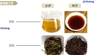 绿茶、红茶、普洱茶：了解后发酵茶的分类与特点