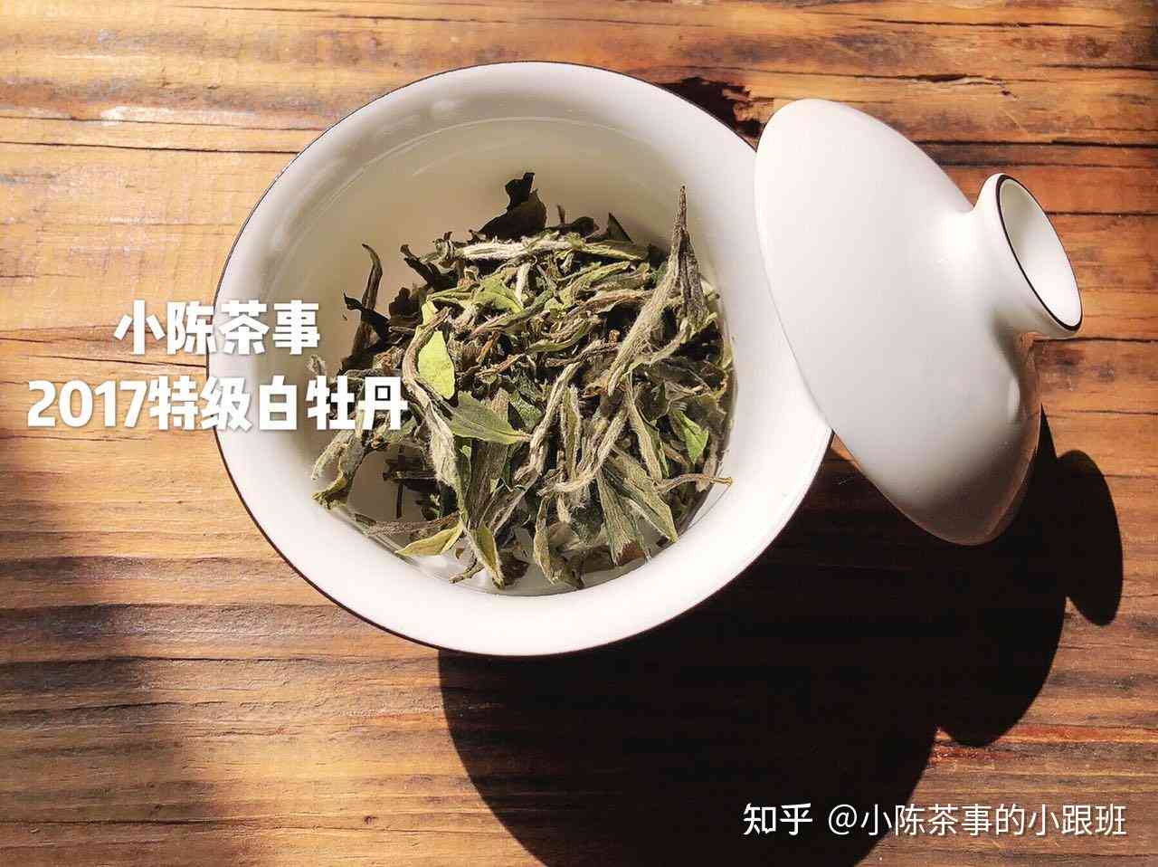 口碑的十大普洱茶白茶