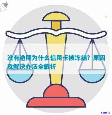 信用卡逾期6个月被冻结，全面解决方法与建议一览