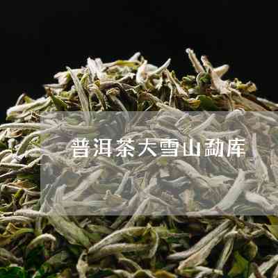 勐库大雪山春茶优质茶叶，产地直销价格优，批发促销活动进行中