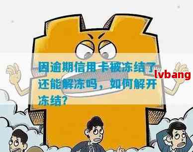 逾期后信用卡被冻结如何解开？解决方法解析