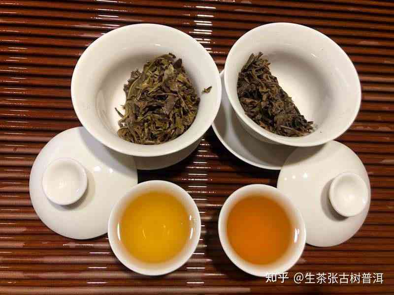 生普洱茶和熟普洱茶可以放在一起存吗？生普洱茶和熟普洱茶能一起泡吗？