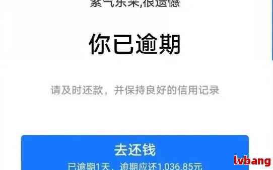 借呗逾期两天要紧吗？怎么处理？会有什么后果？