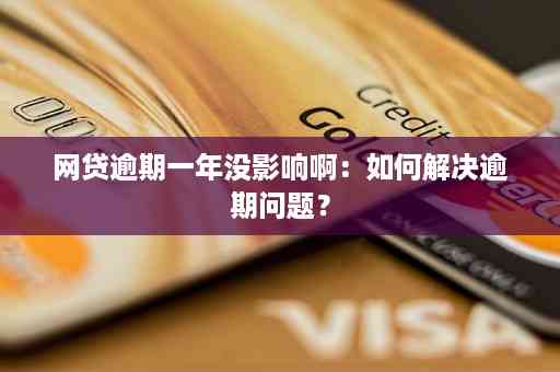 信用卡1万以内逾期了怎么办：逾期处理、办理流程、后果及起诉时间解析