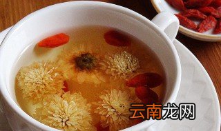 菊花枸杞普洱茶怎么泡好喝