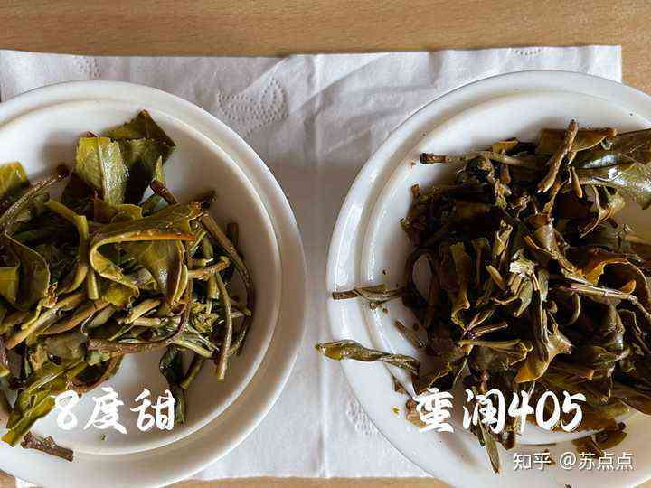 全面了解普洱茶：排名前十的优质茶叶推荐与比较分析