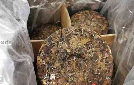 开进去的普洱茶饼怎么存放好喝：完整保存与饮用方法