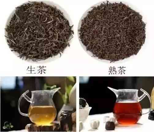 普洱茶饼的存放：生茶与熟茶的选择及收藏保存建议