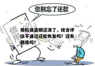 提前还款后综合评估未通过，微粒贷怎么办？