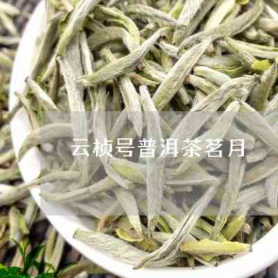 2013云桢号茗月普洱茶357克卖380,云南云桢号茗月普洱茶生茶好不好？