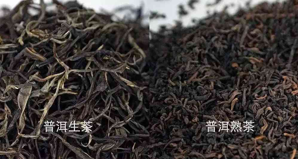 普洱茶表面有白色物质是什么？