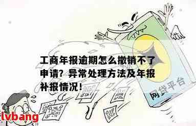 逾期申报补报后，如何消除逾期记录？可能的解决方案及影响