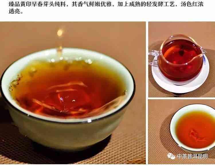 中茶2000年乙级黄印普洱茶