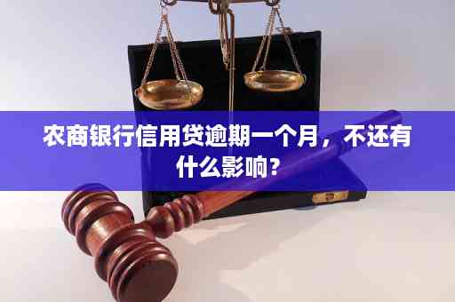 信用卡逾期还完了可以做农行什么贷款