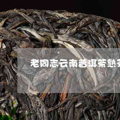 云南老同志普洱茶厂家电话及地址查询