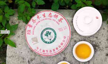 福茶坊：大福普洱茶天下茶仓，品味古树新韵的价格攻略