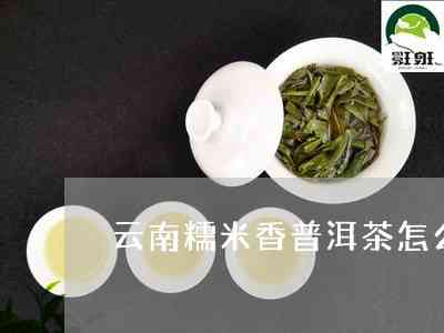 糯米香大叶普洱茶：云南特产的醇厚口感与糯米的完美融合