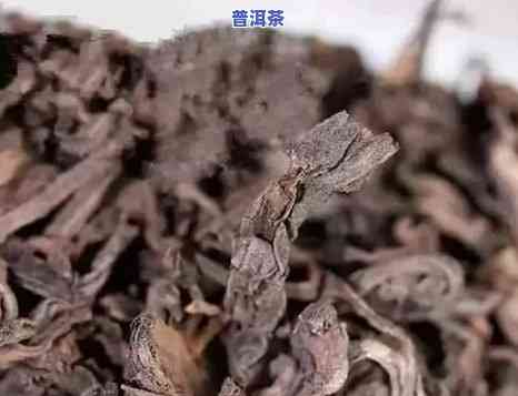 普洱茶熟茶属于什么发酵茶类：全发酵茶。