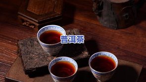 普洱熟茶的发酵过程及其所属的茶类类型探究