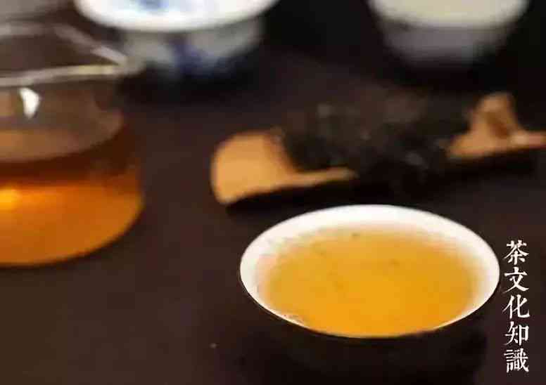 普洱熟茶的发酵过程及其所属的茶类类型探究