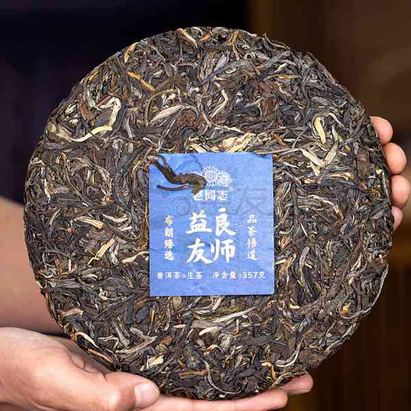 09年老同志良师益友普洱茶价格走势分析