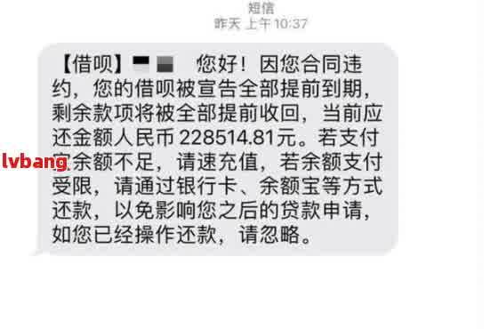 关于如何在还款当天零点前向闪贷宝转账以避免逾期的安全性探讨