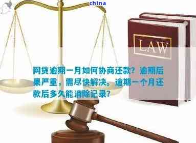 探讨网贷逾期协商：法律依据、操作方式及保护措一览