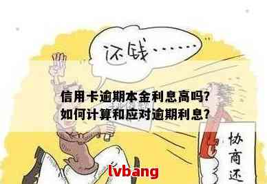 信用卡逾期未还利息高怎么办？